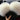 Vegan Furry Flat Slippers - Easy Pickins Store