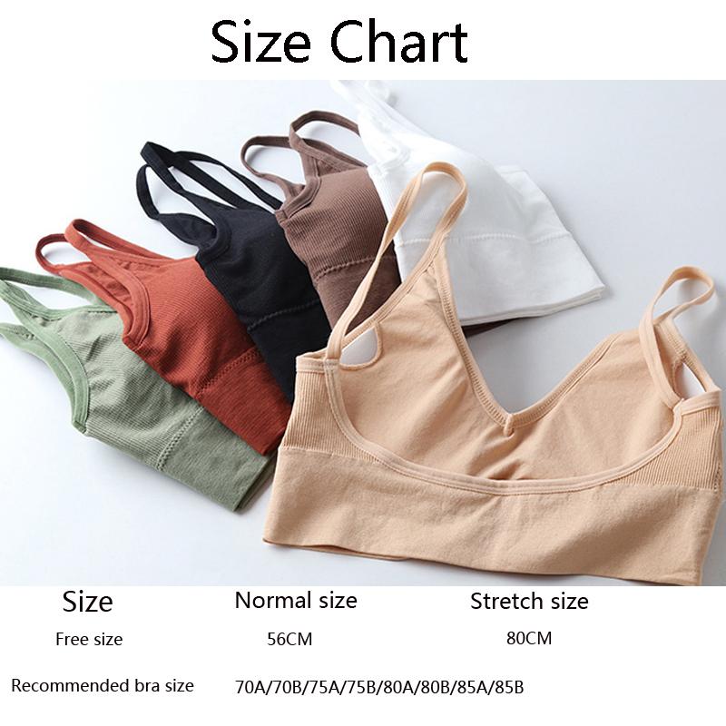 Sexy Bra Underwear Bas For Women Bralette Seamless Padded Bra Lingerie Cotton Wireless Fitness Tops Brassiere Bra|Bras| - Easy Pickins Store