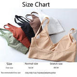 Sexy Bra Underwear Bas For Women Bralette Seamless Padded Bra Lingerie Cotton Wireless Fitness Tops Brassiere Bra|Bras| - Easy Pickins Store