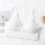 Sexy Bra Underwear Bas For Women Bralette Seamless Padded Bra Lingerie Cotton Wireless Fitness Tops Brassiere Bra|Bras| - Easy Pickins Store