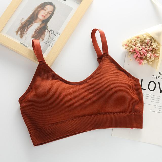 Sexy Bra Underwear Bas For Women Bralette Seamless Padded Bra Lingerie Cotton Wireless Fitness Tops Brassiere Bra|Bras| - Easy Pickins Store