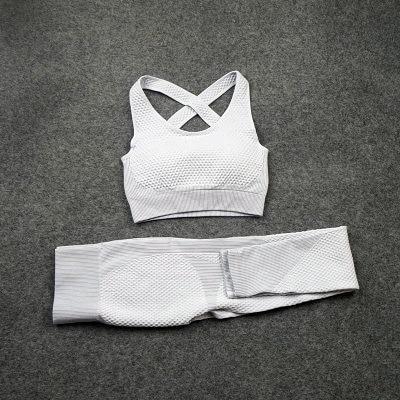 Yoga Suitwear Seamless Long Sleeve High Waist Sport Set - Easy Pickins Store