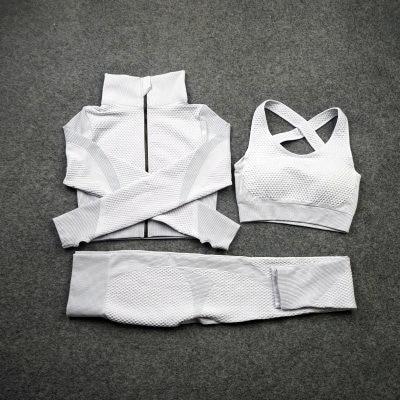 Yoga Suitwear Seamless Long Sleeve High Waist Sport Set - Easy Pickins Store